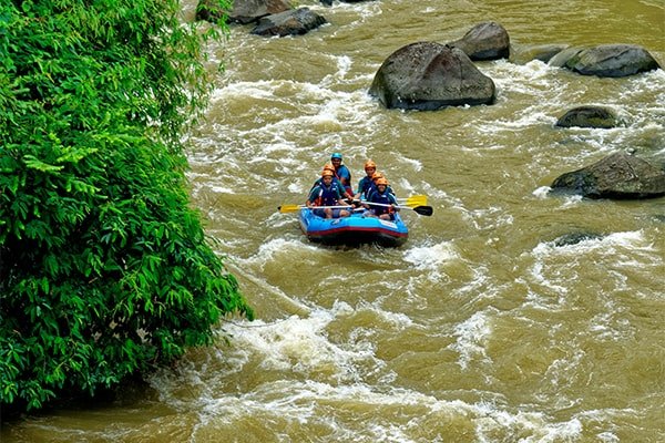 Rafting down a jungle river